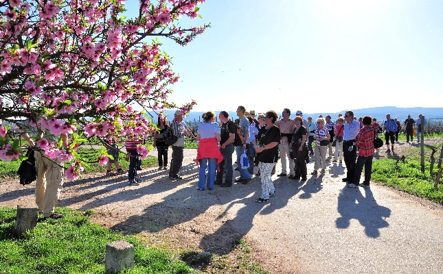 Weinwanderung